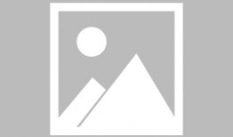 娱乐圈吃瓜爆料小作文,揭秘明星背后的故事